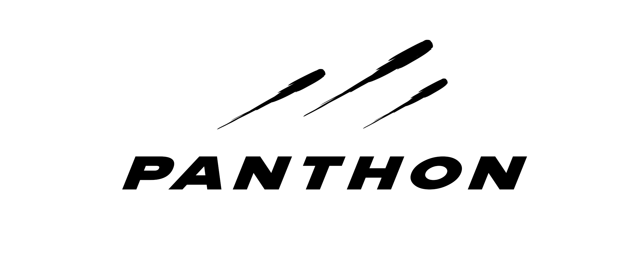 Panthon-02